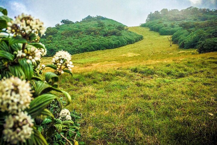 Camping in Ramboda - Photo 1 of 7